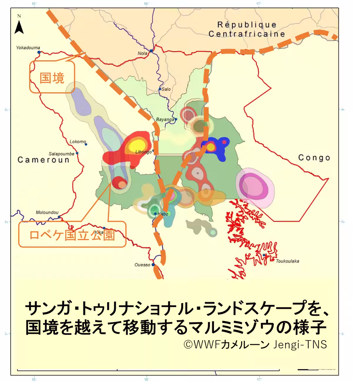画像4