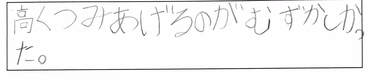 画像8