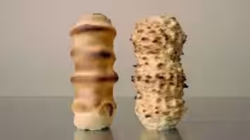 画像11