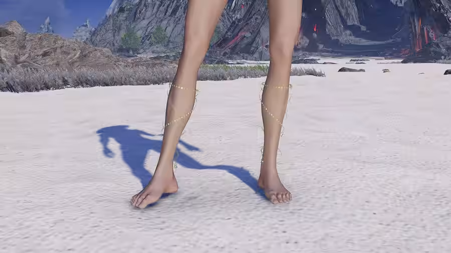 画像24