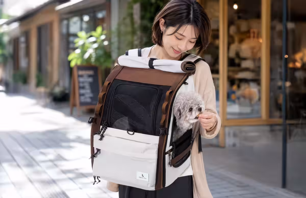 画像8