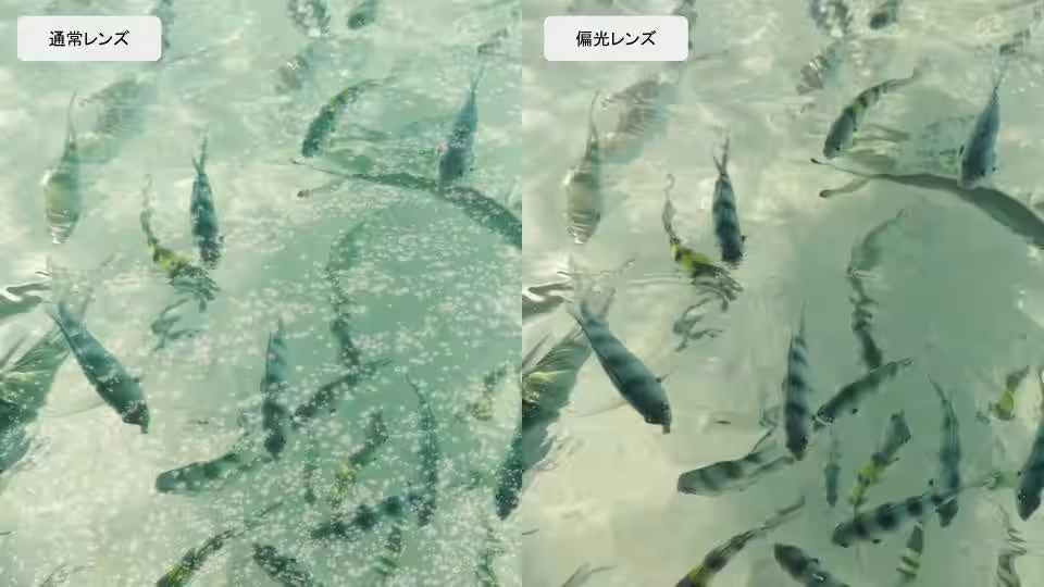画像8