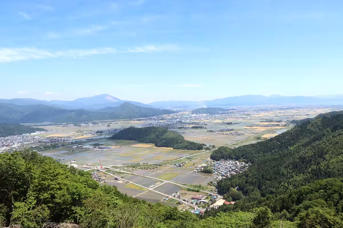画像7