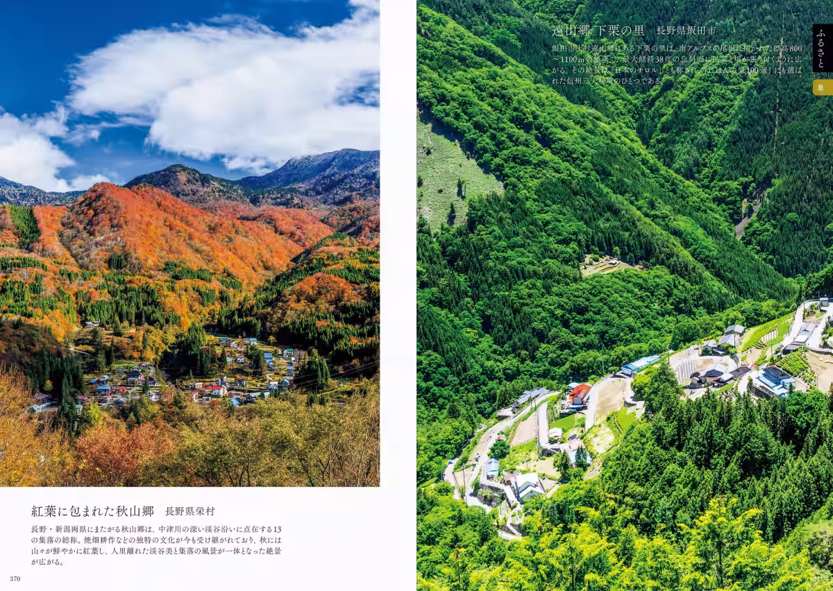 画像6