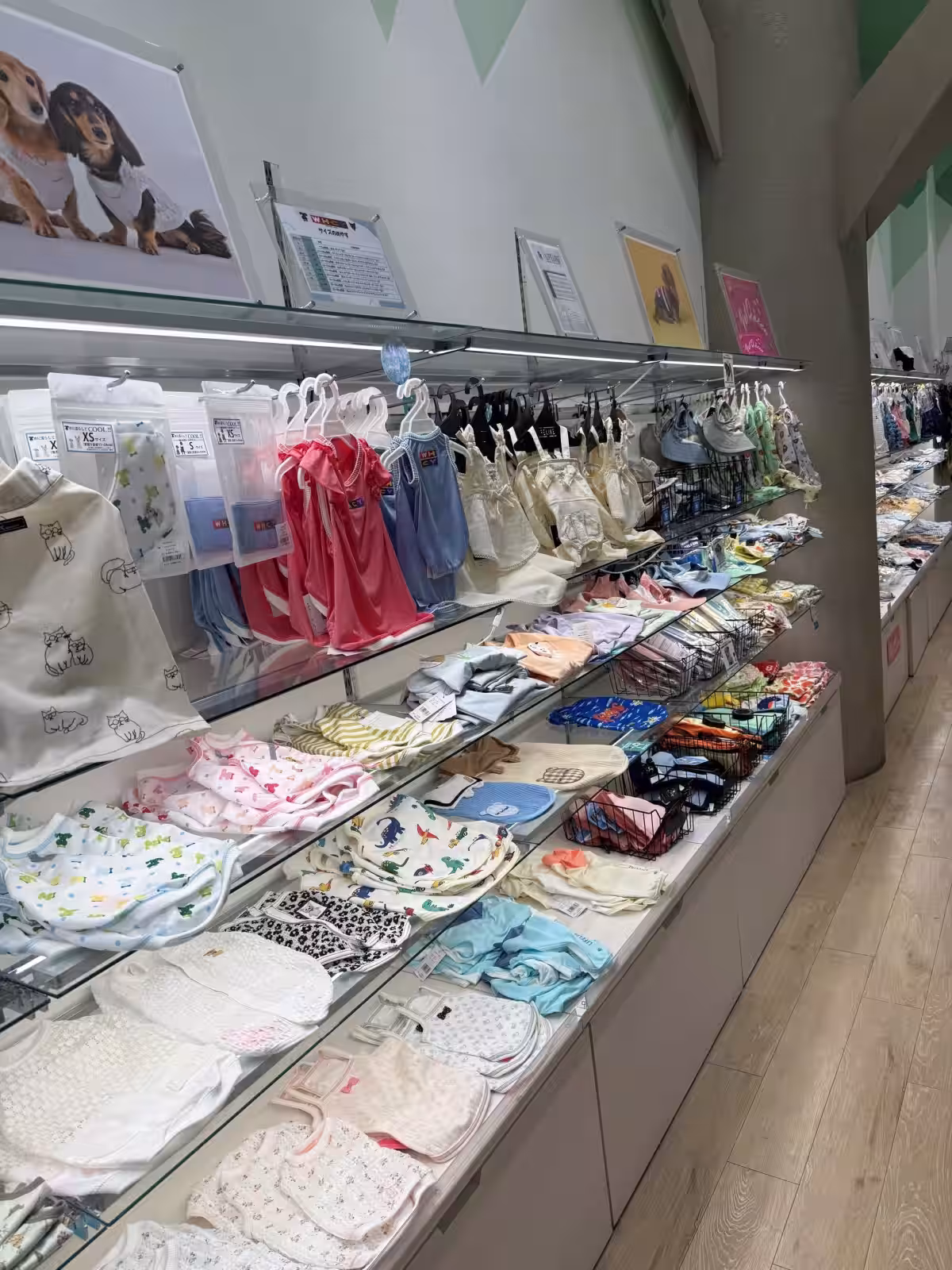 画像14