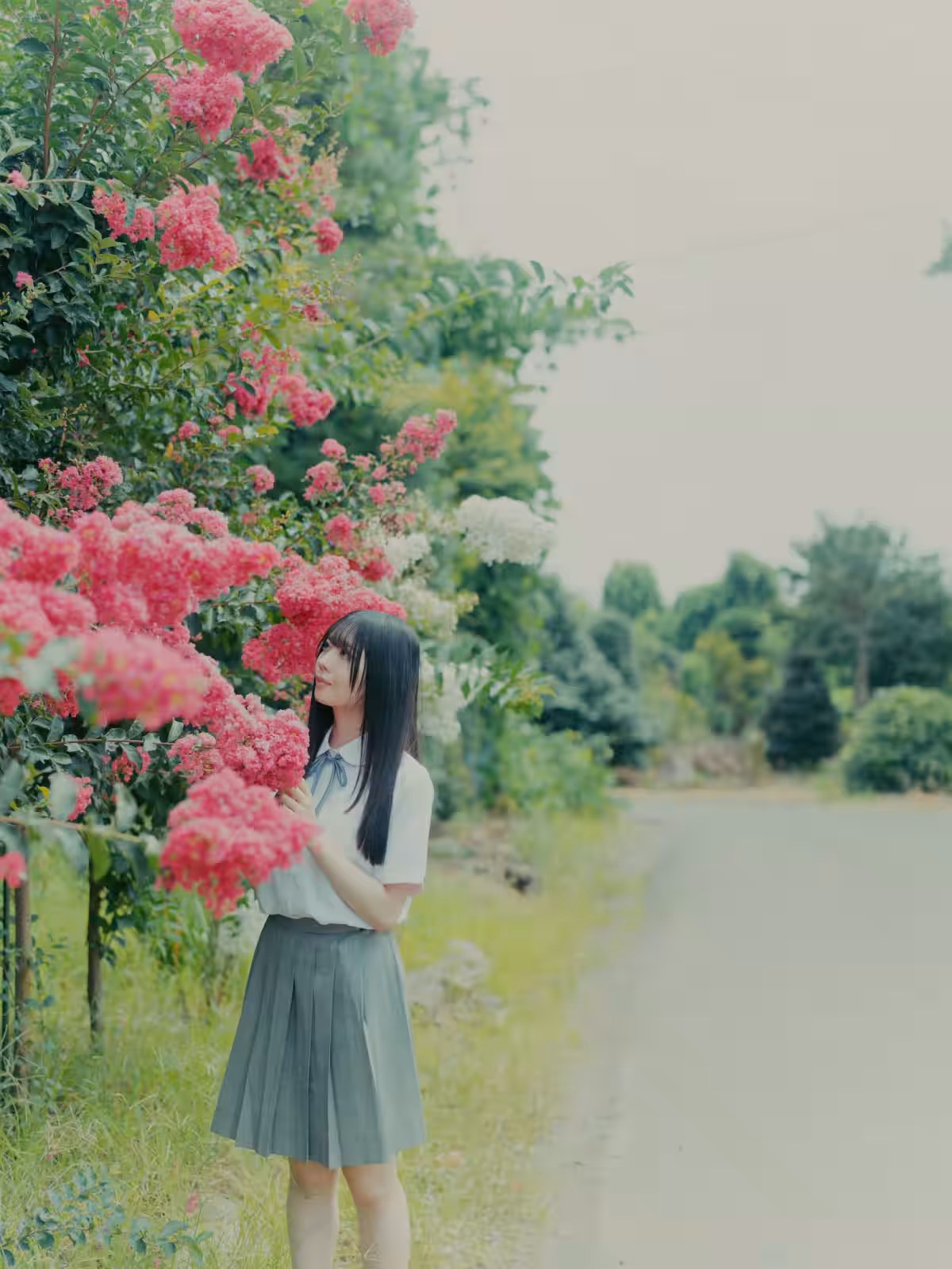 画像9