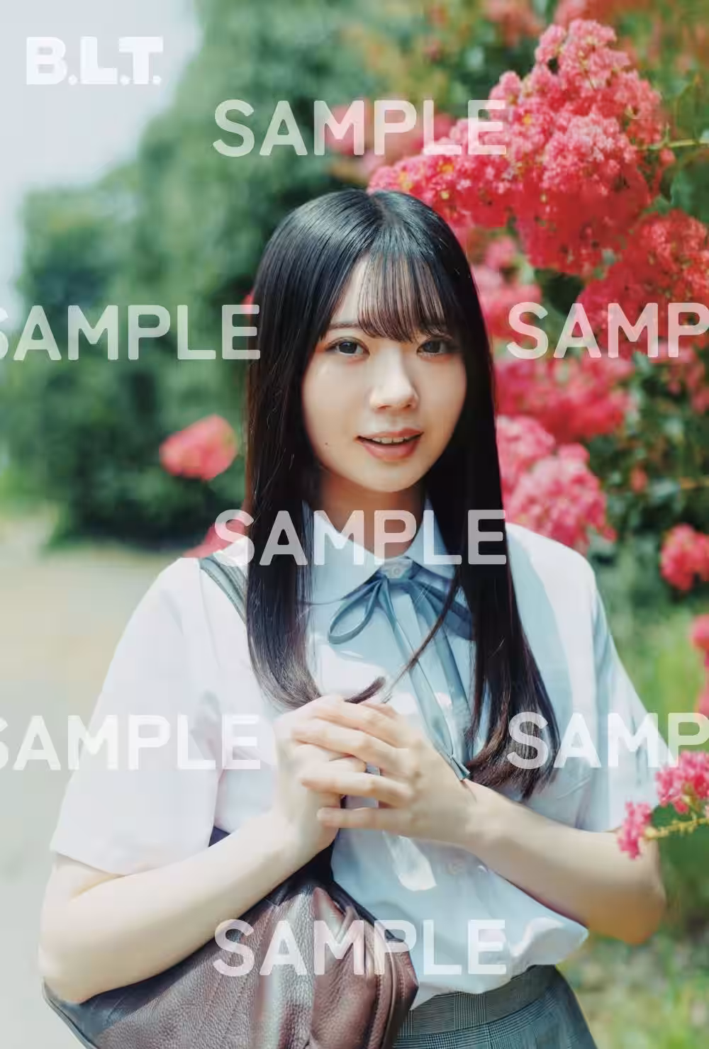 画像16
