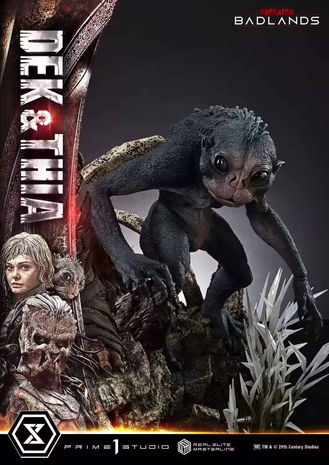 画像12