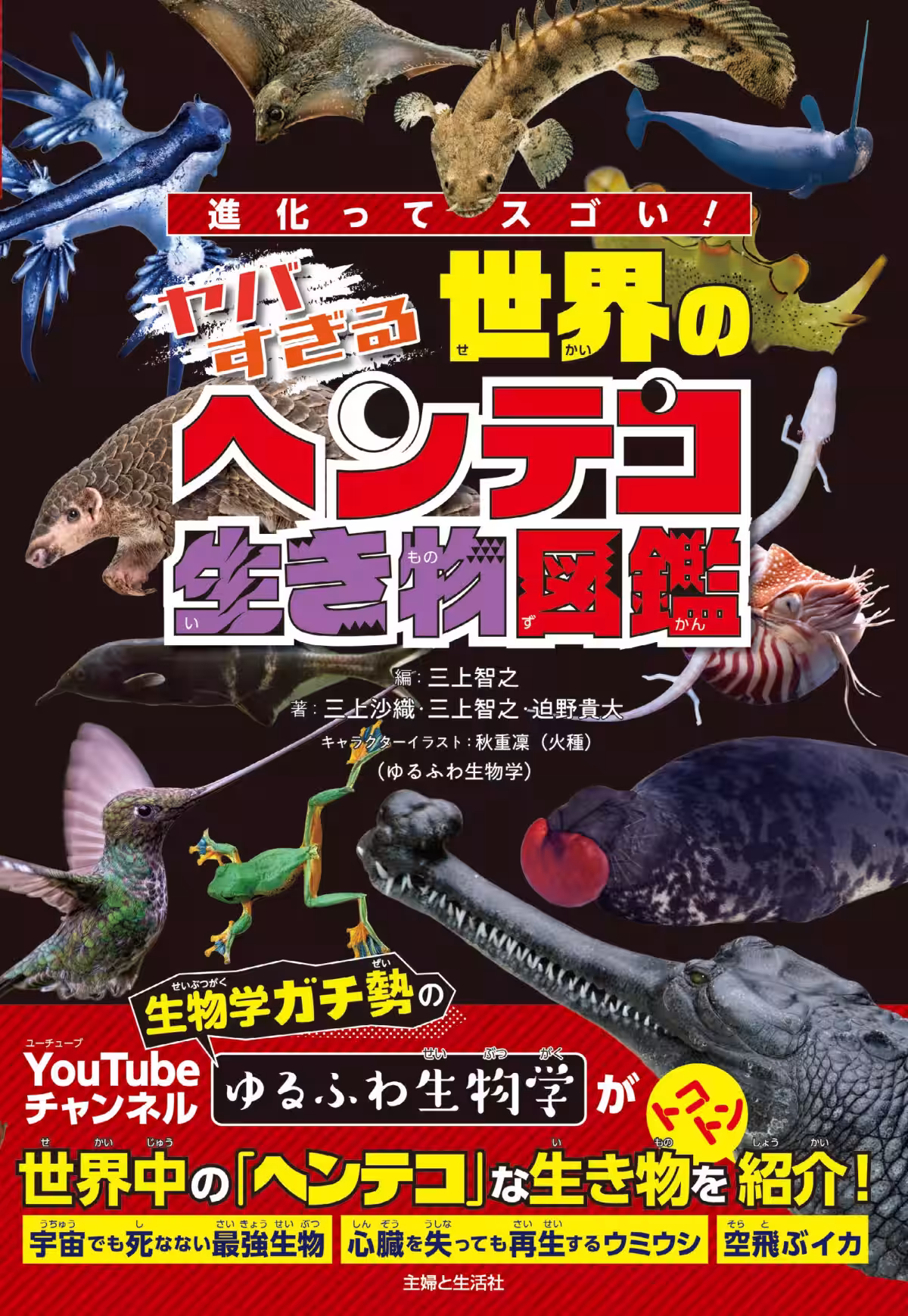 画像1