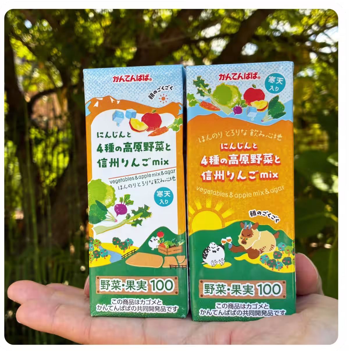 画像2