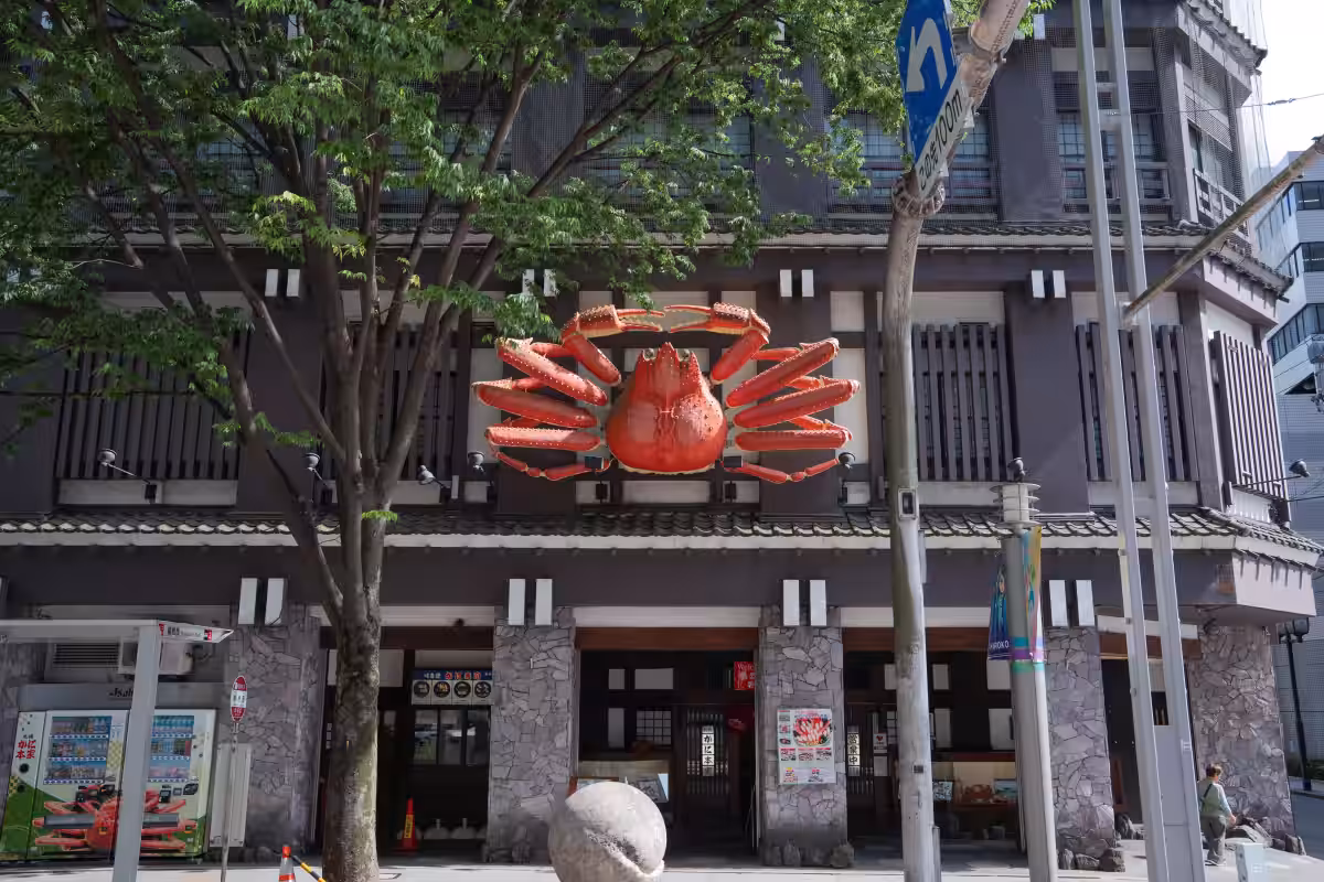 画像6