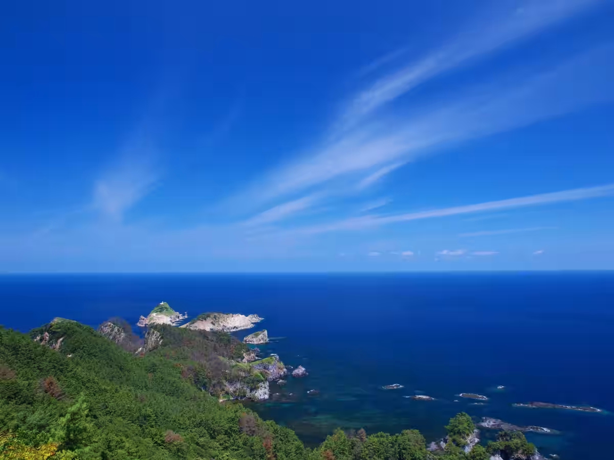 画像11