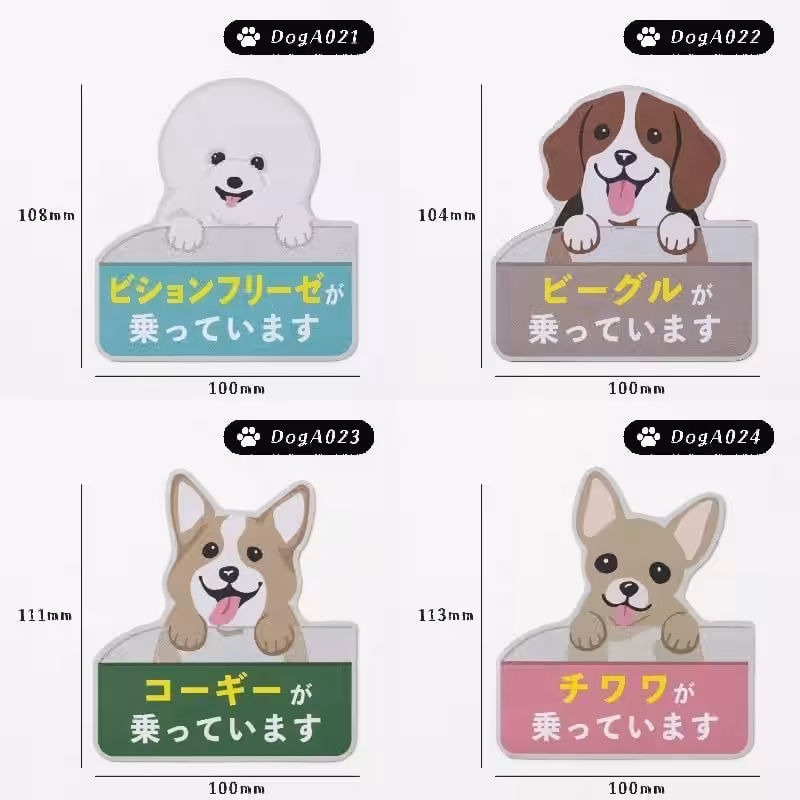 画像8