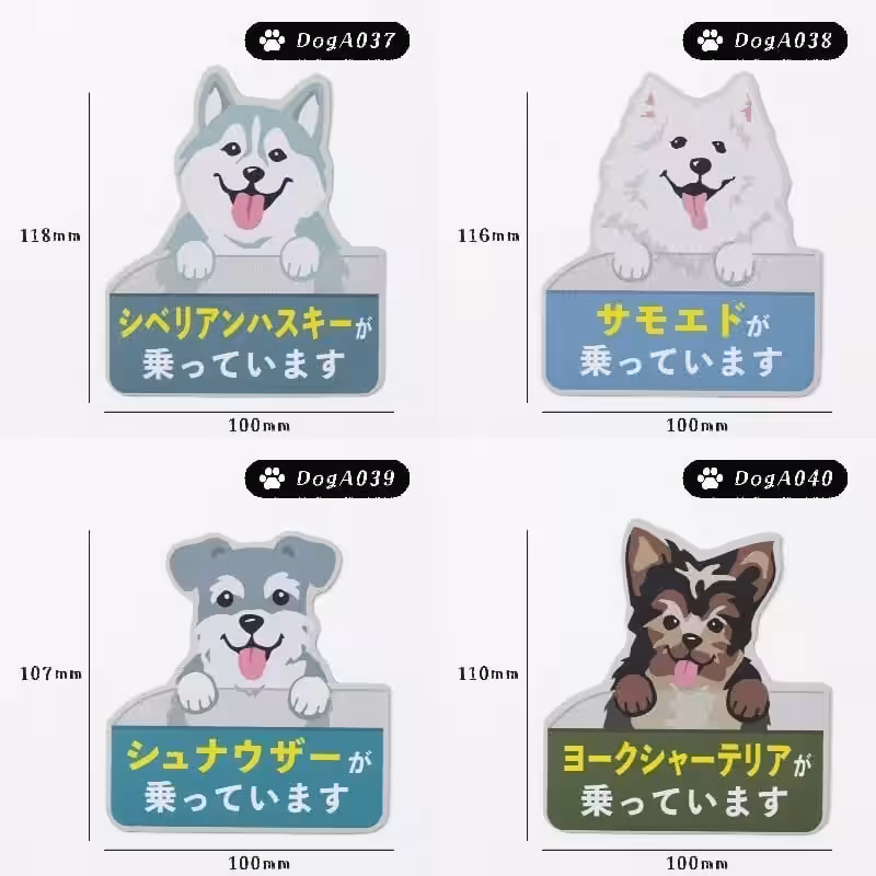 画像11