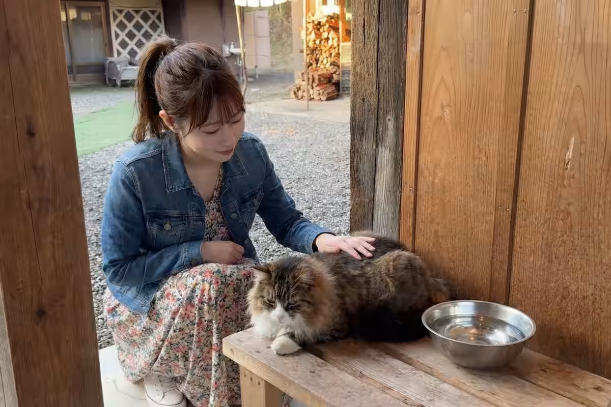 画像8