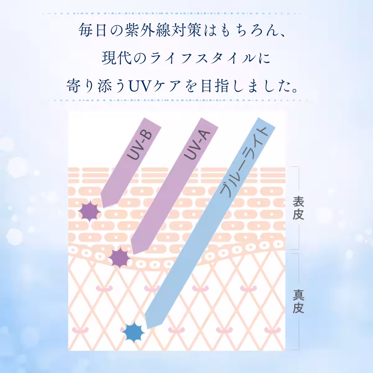 画像11