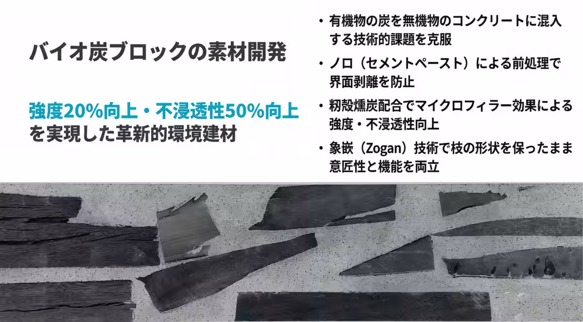 画像12