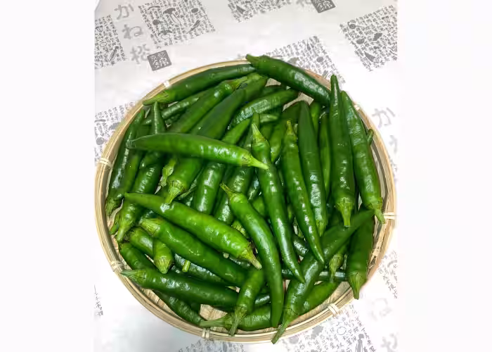 画像12