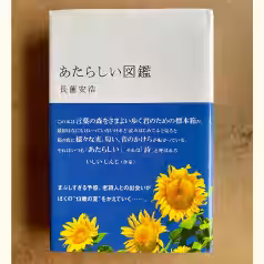 画像5
