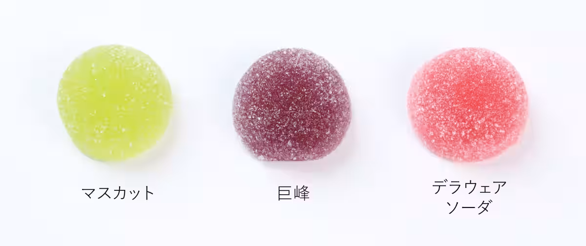 画像9