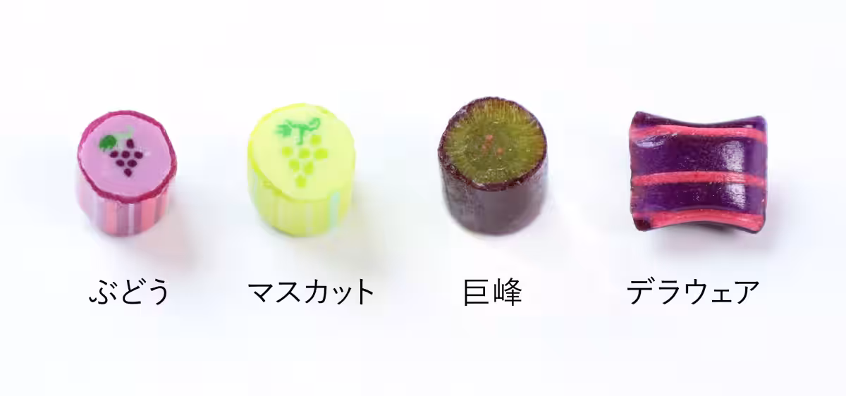 画像6