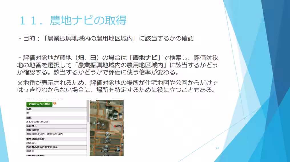 画像5