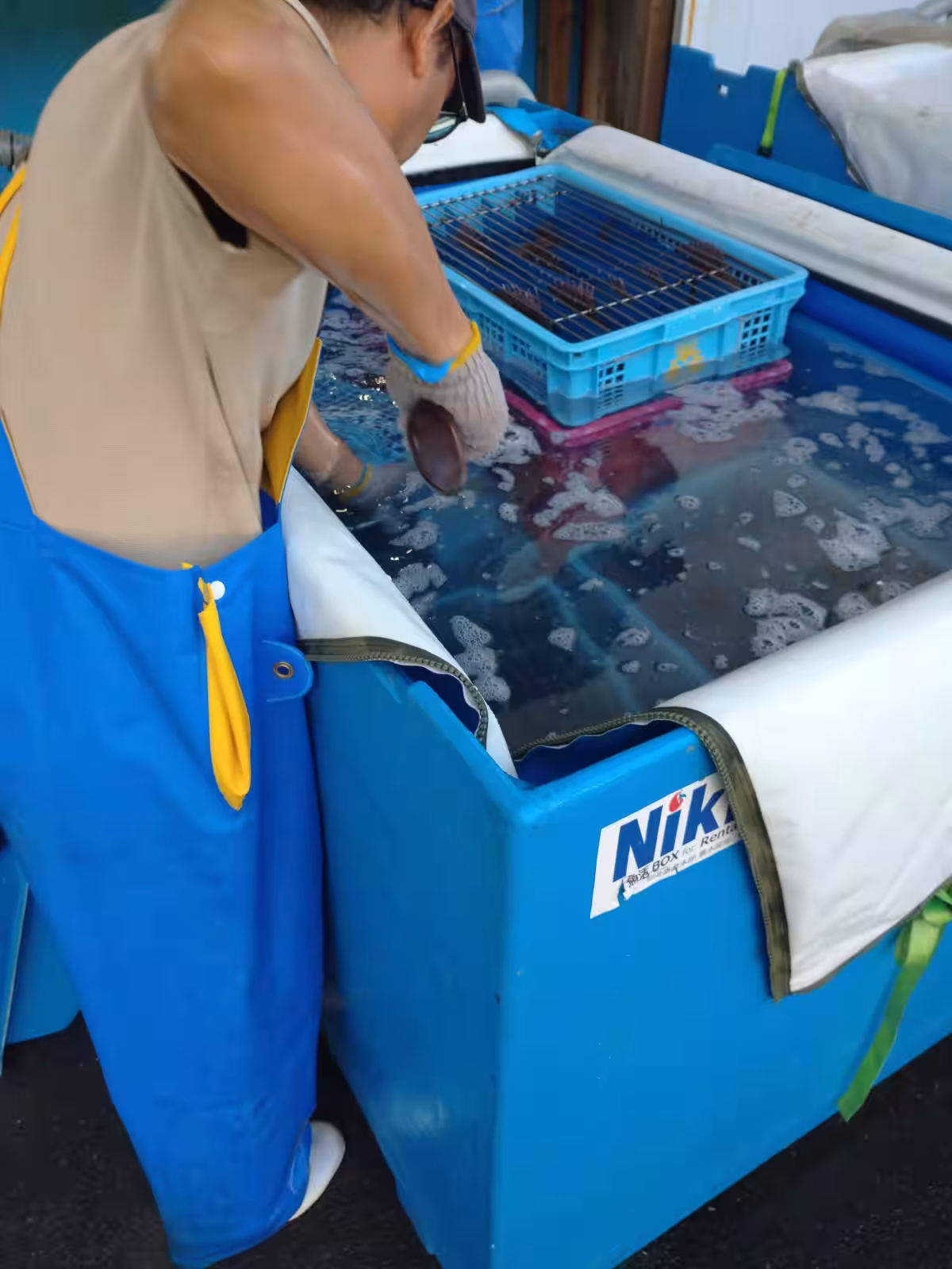 画像7