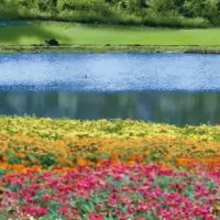 虹の花まつり2026