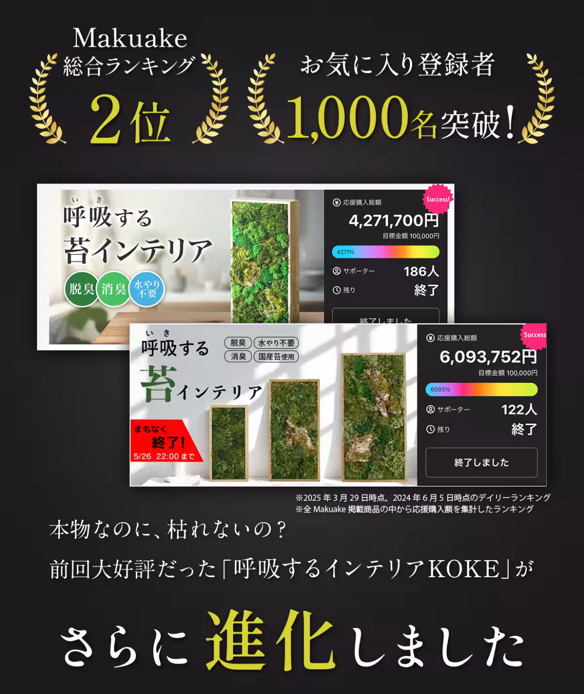 画像17