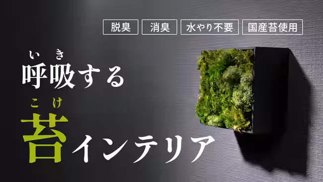 画像26