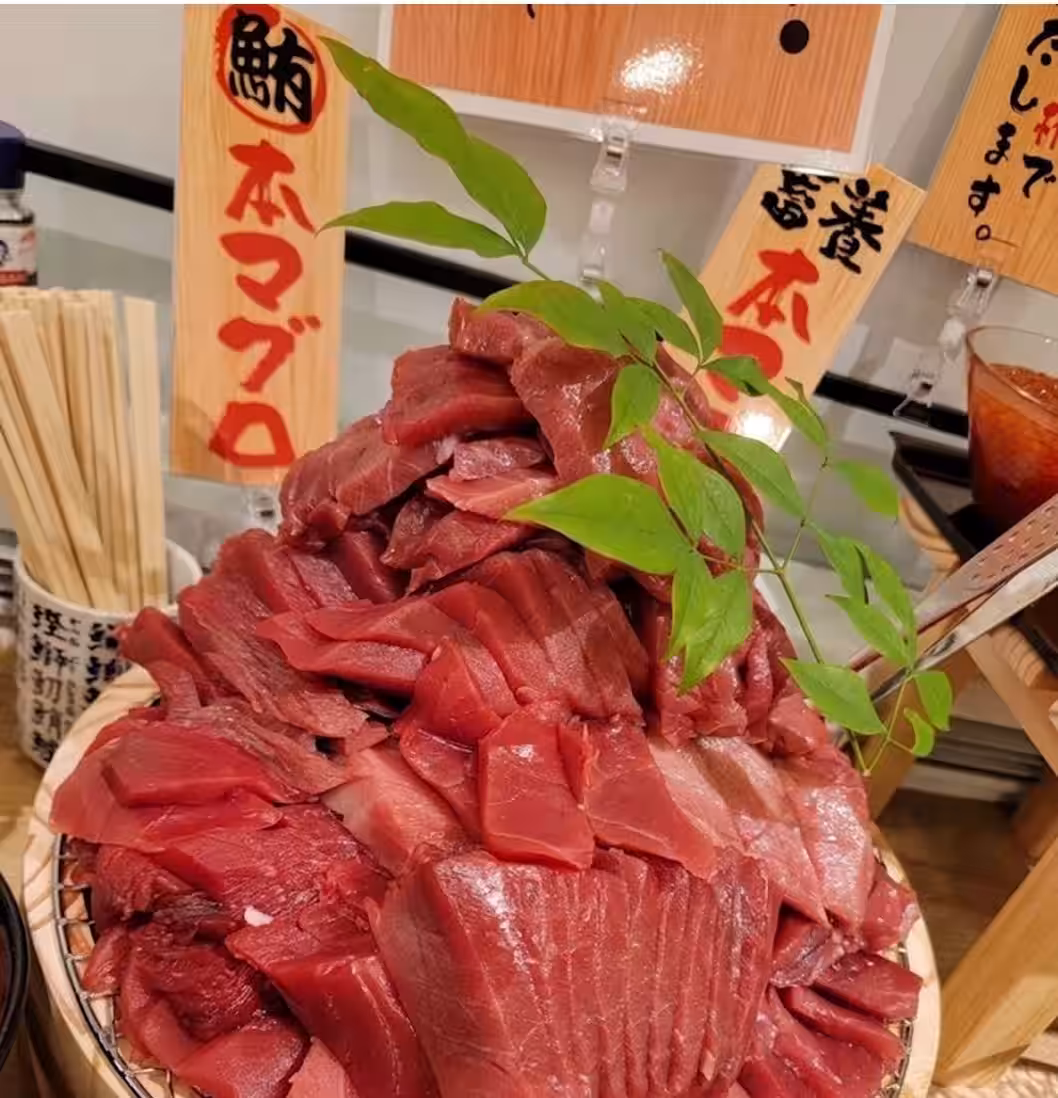 画像15