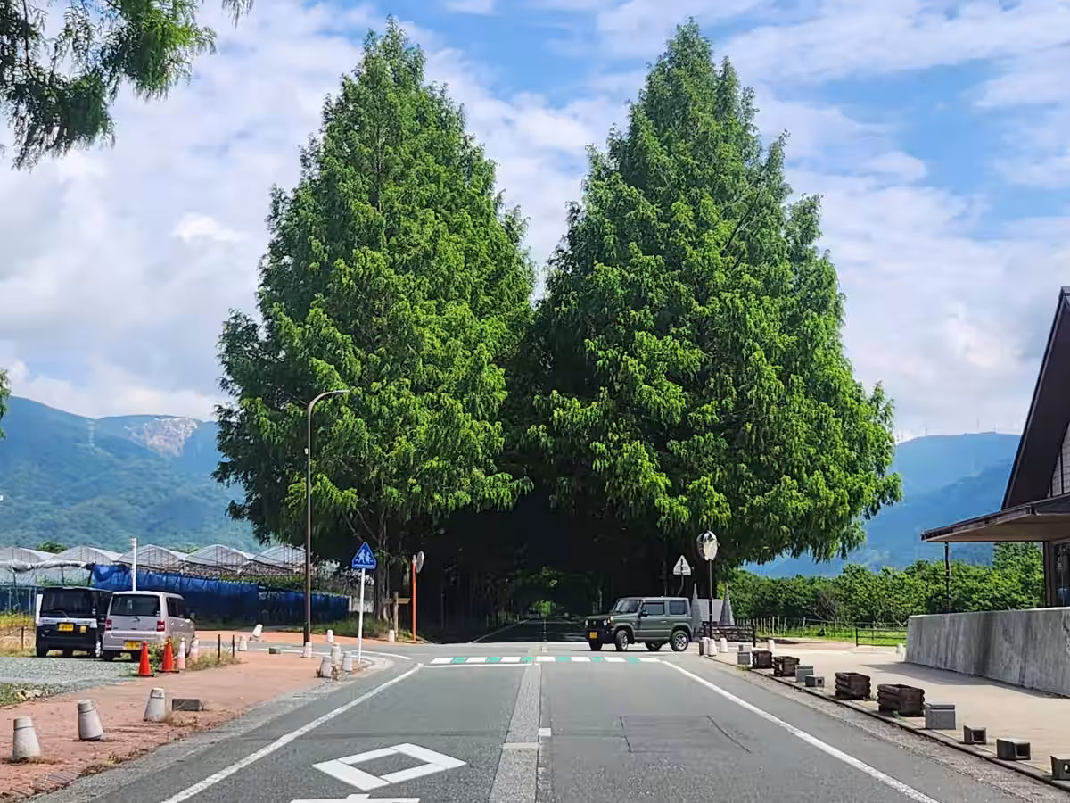 画像21