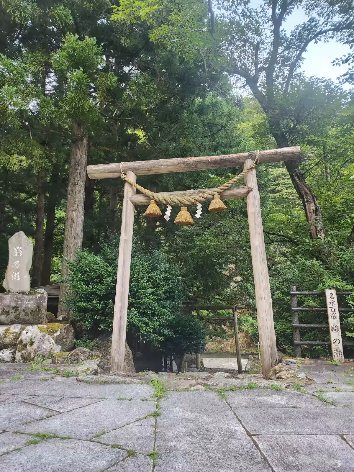 画像8