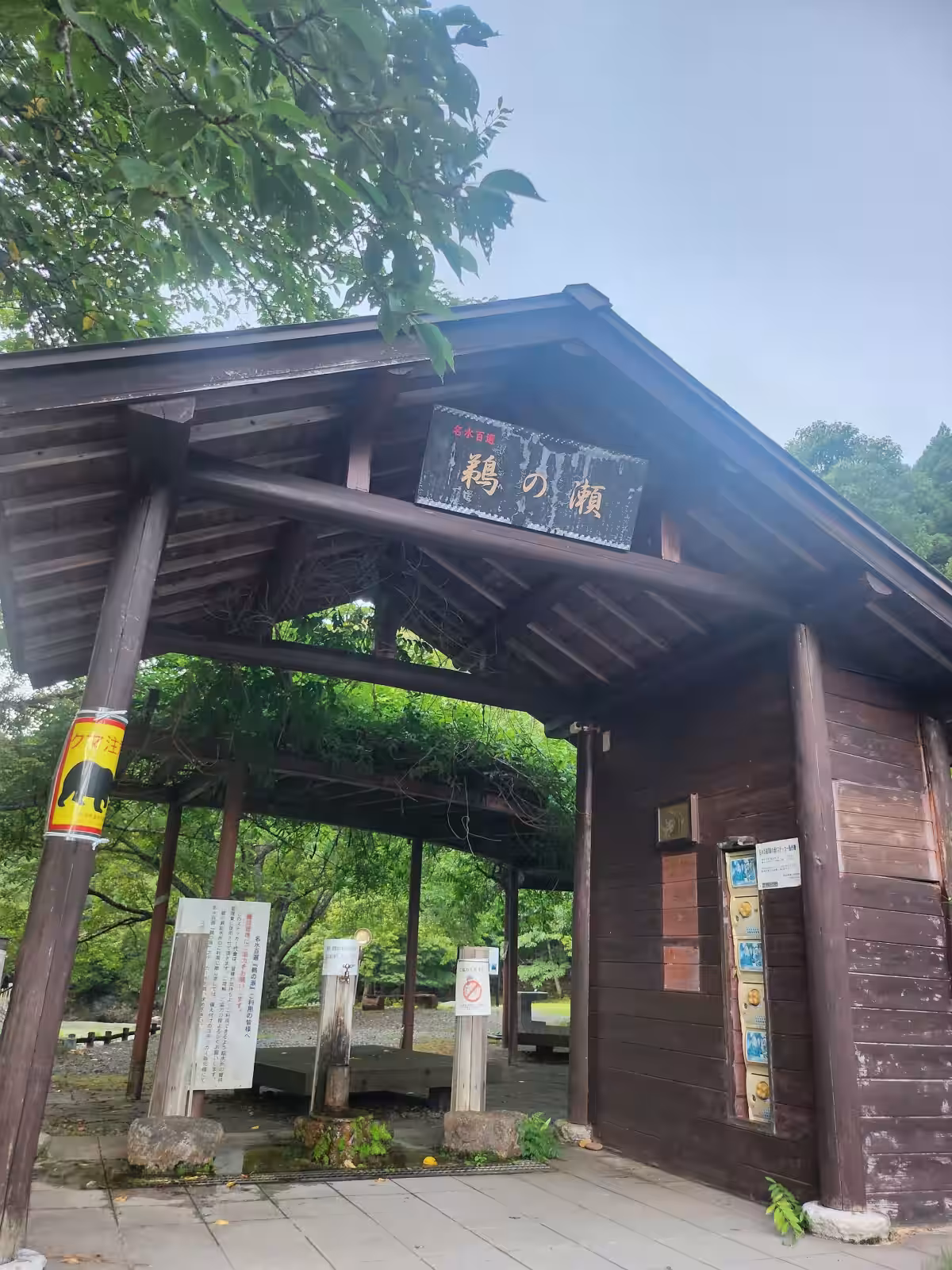 画像18