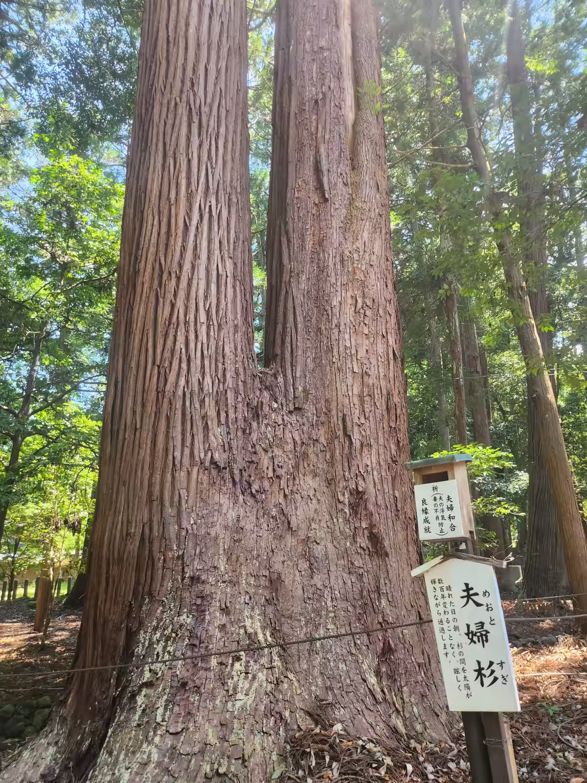画像7