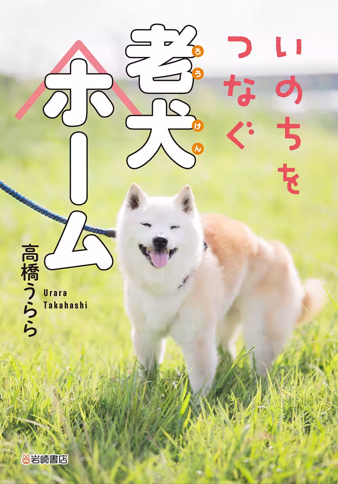 画像2