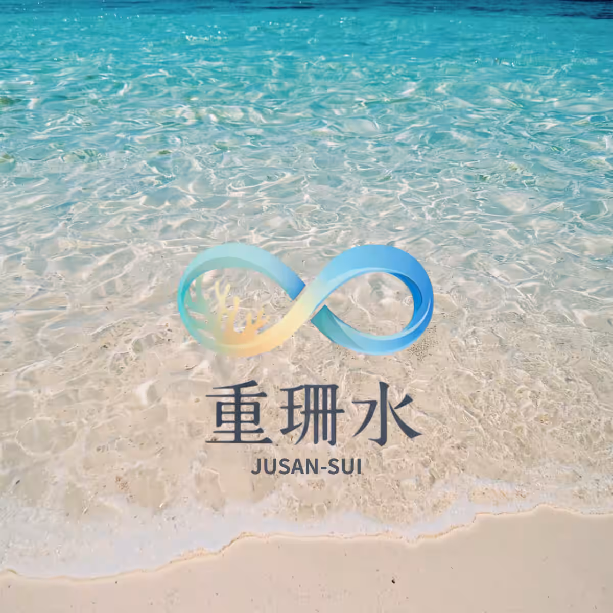 画像21