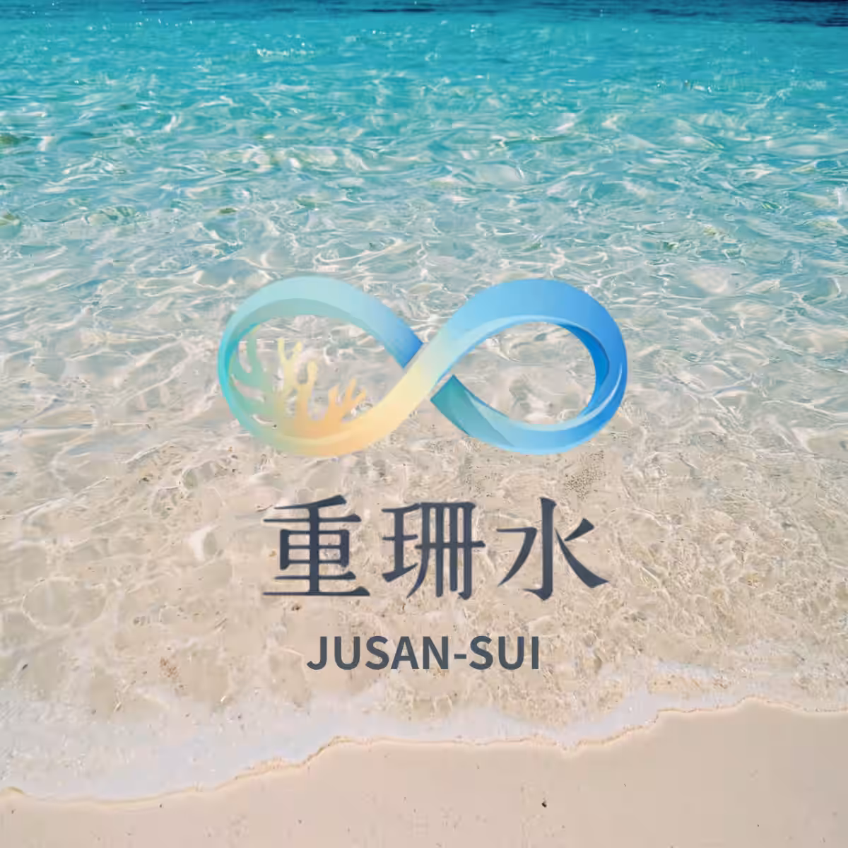 画像9