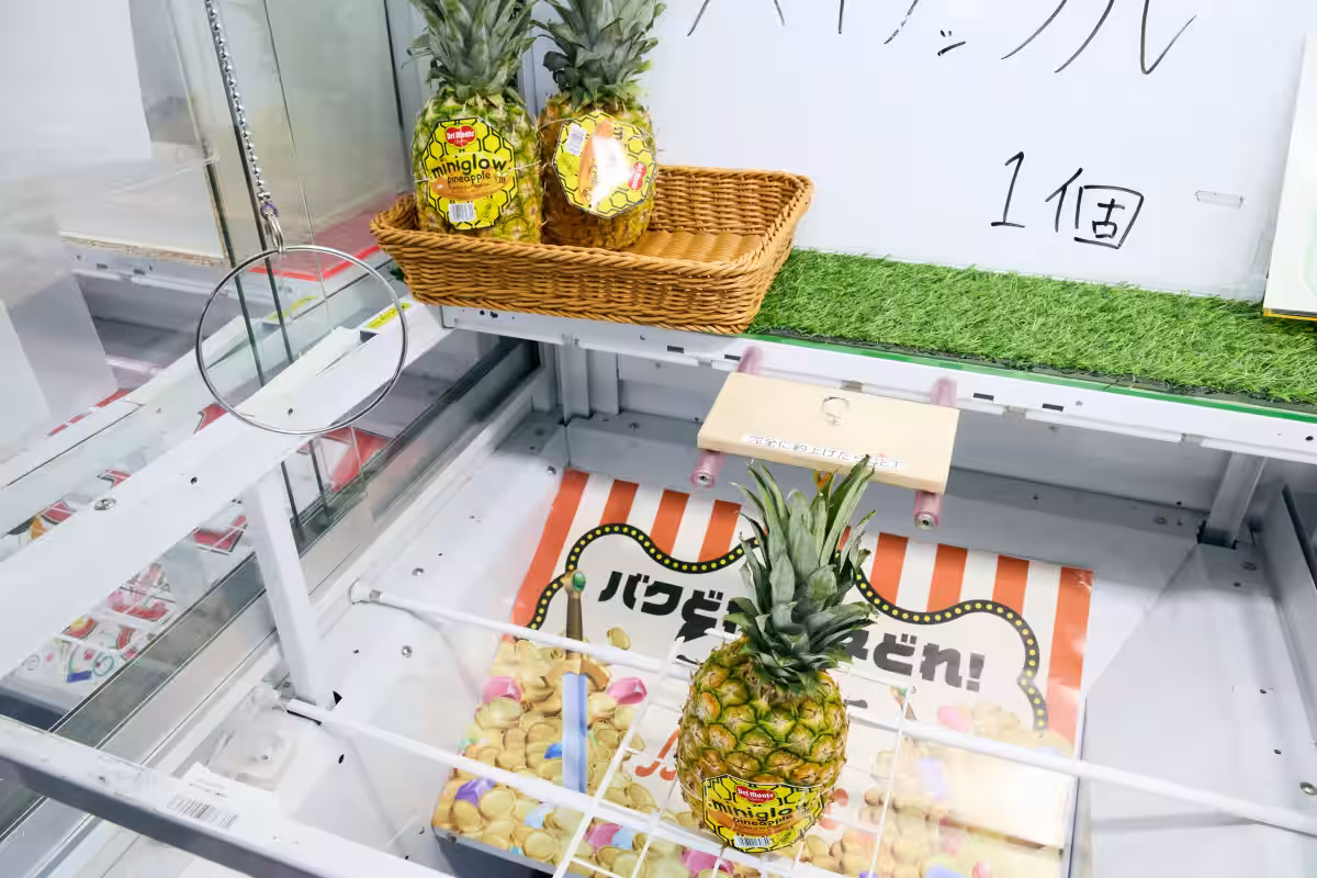画像5
