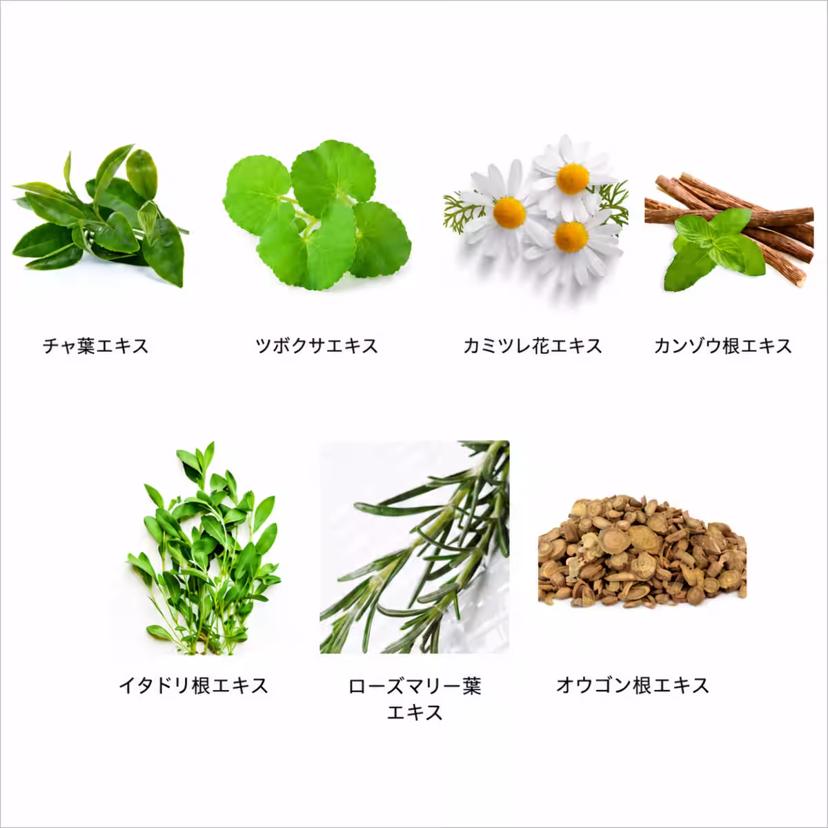 画像17