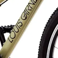 ルイガノ新ジュニアMTB