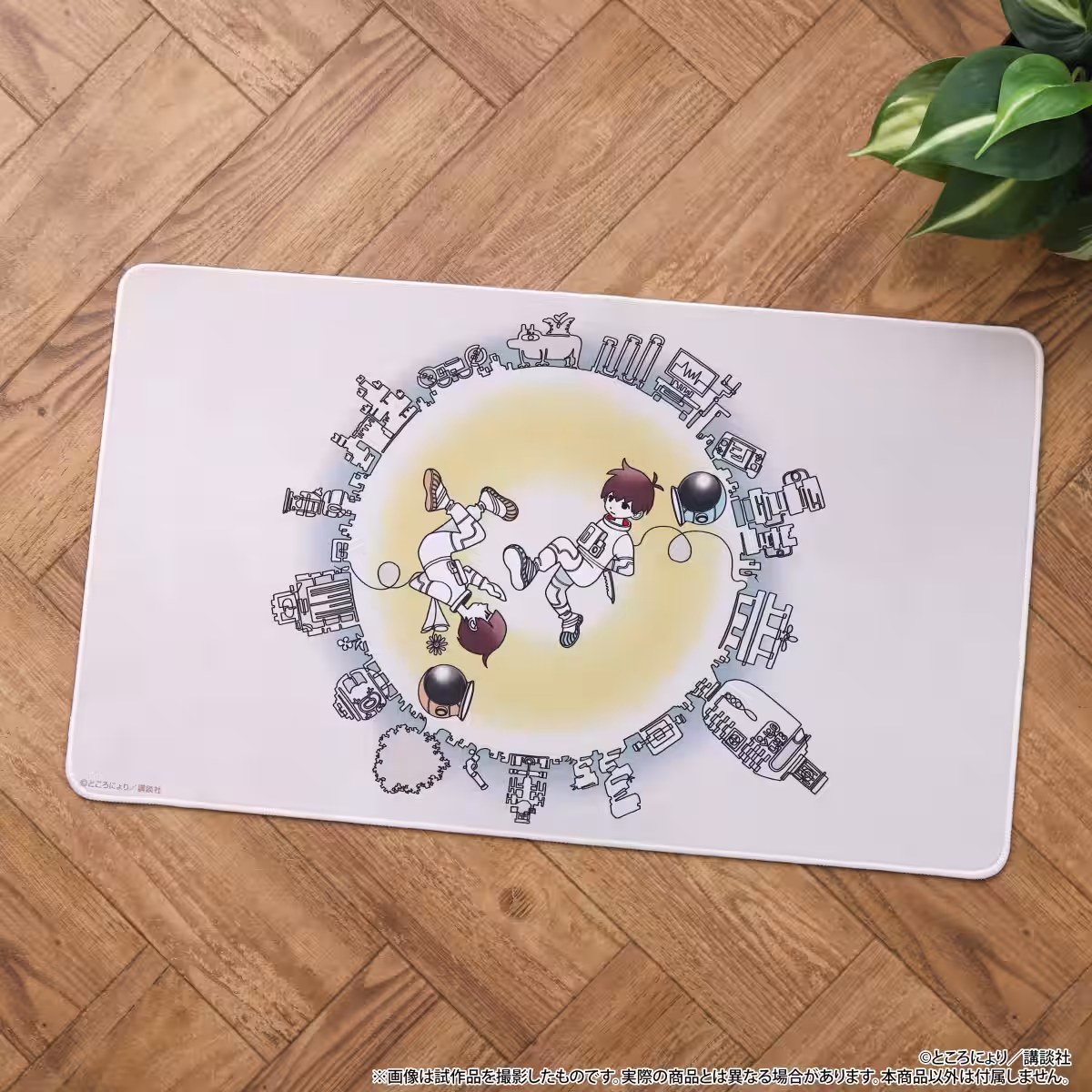 画像12