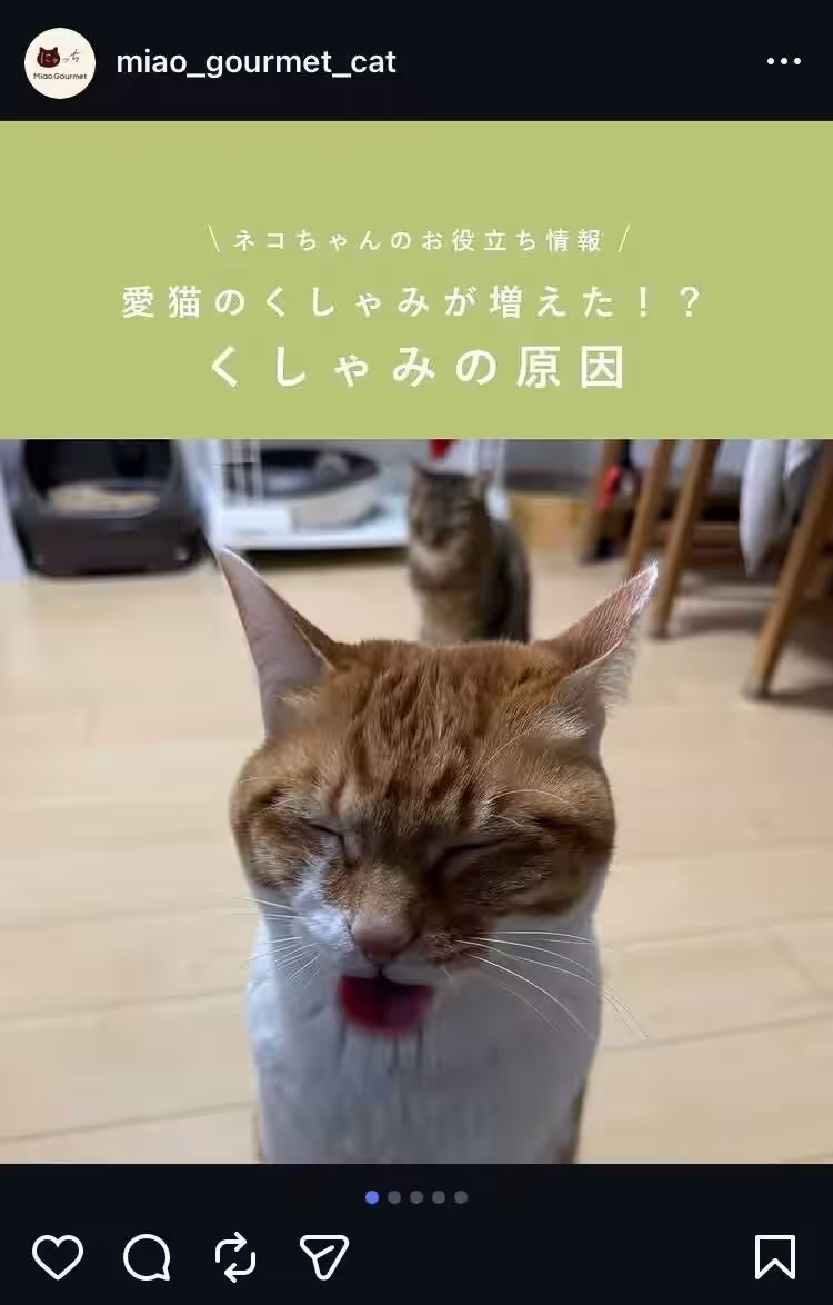 画像12