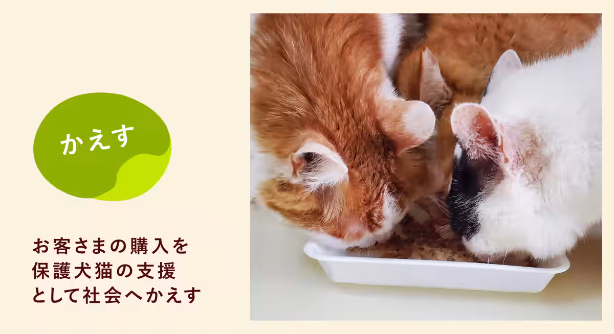 画像22
