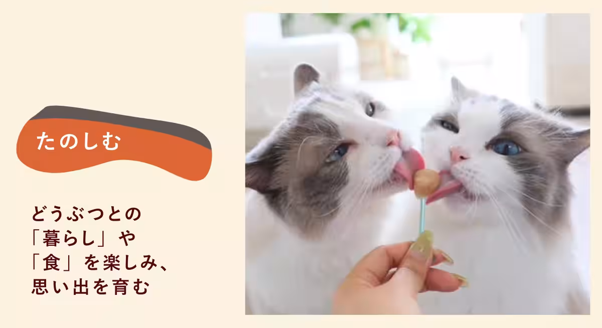 画像20