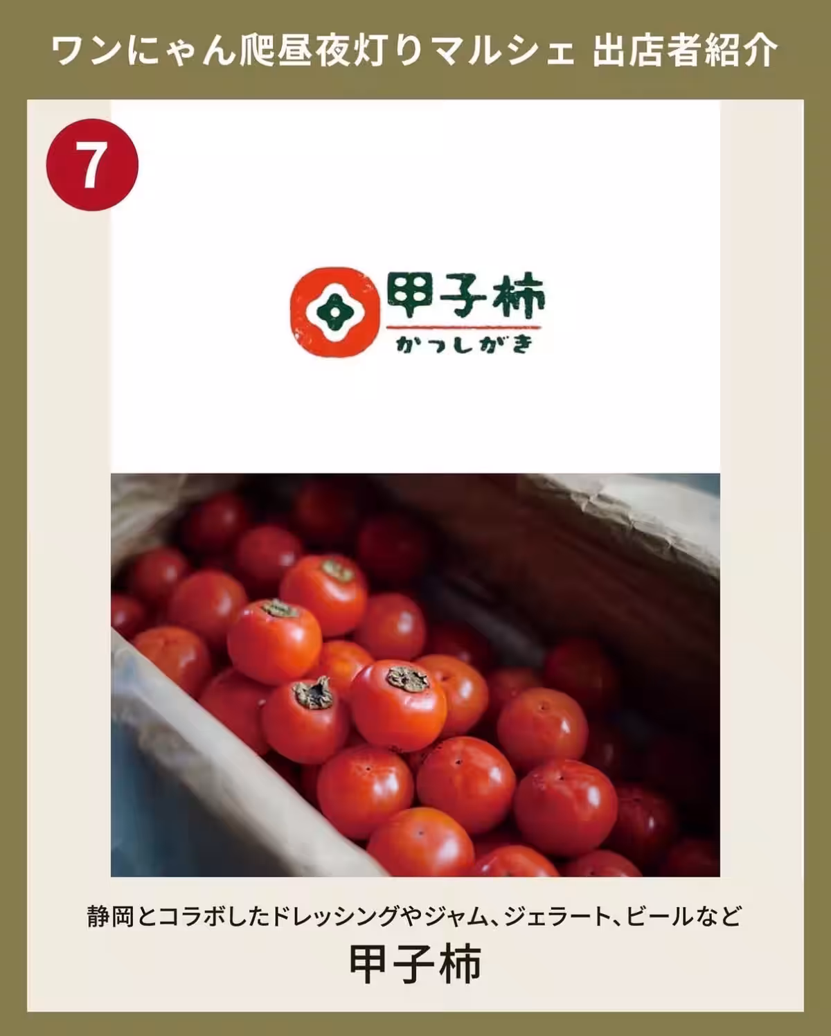 画像15