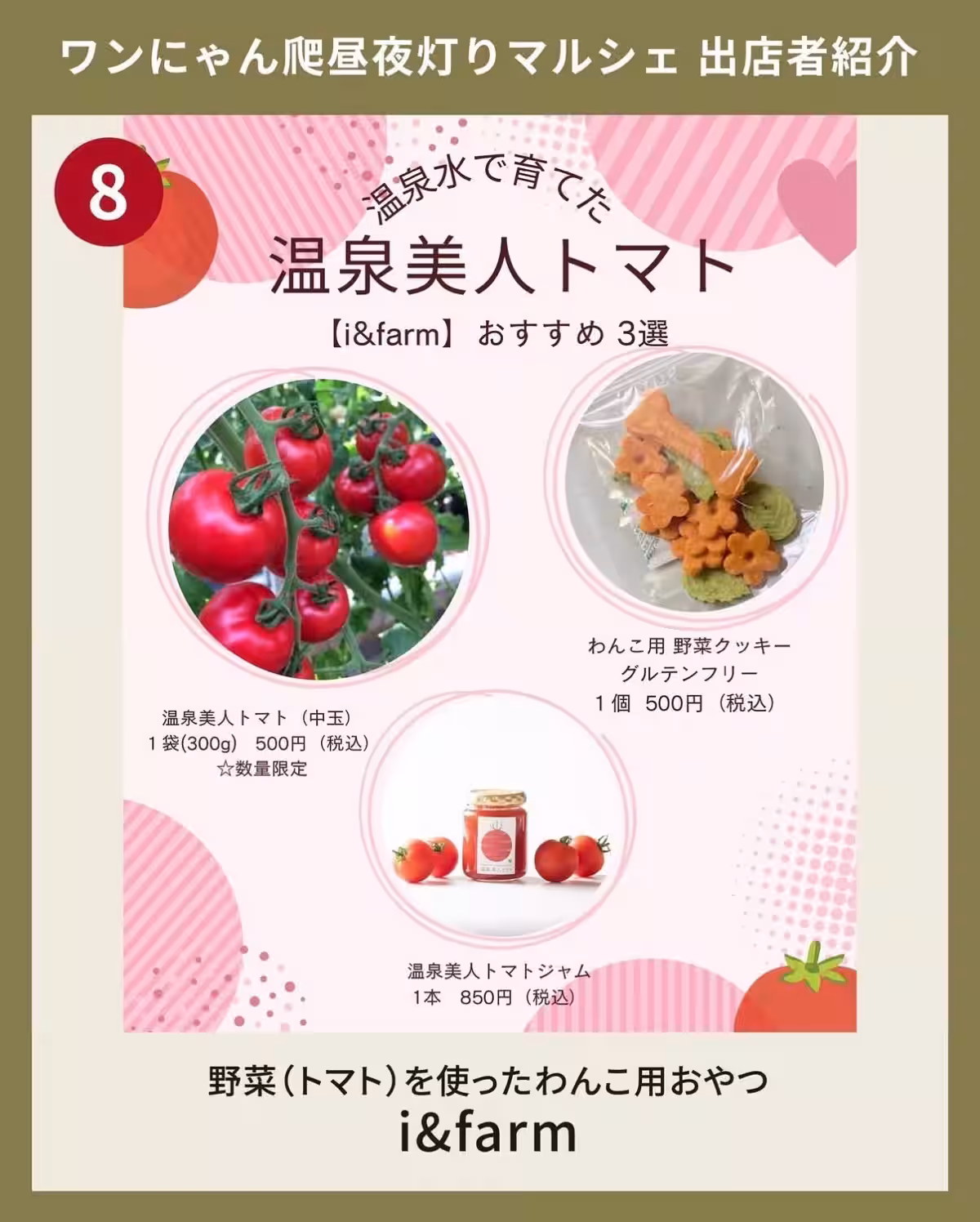画像16