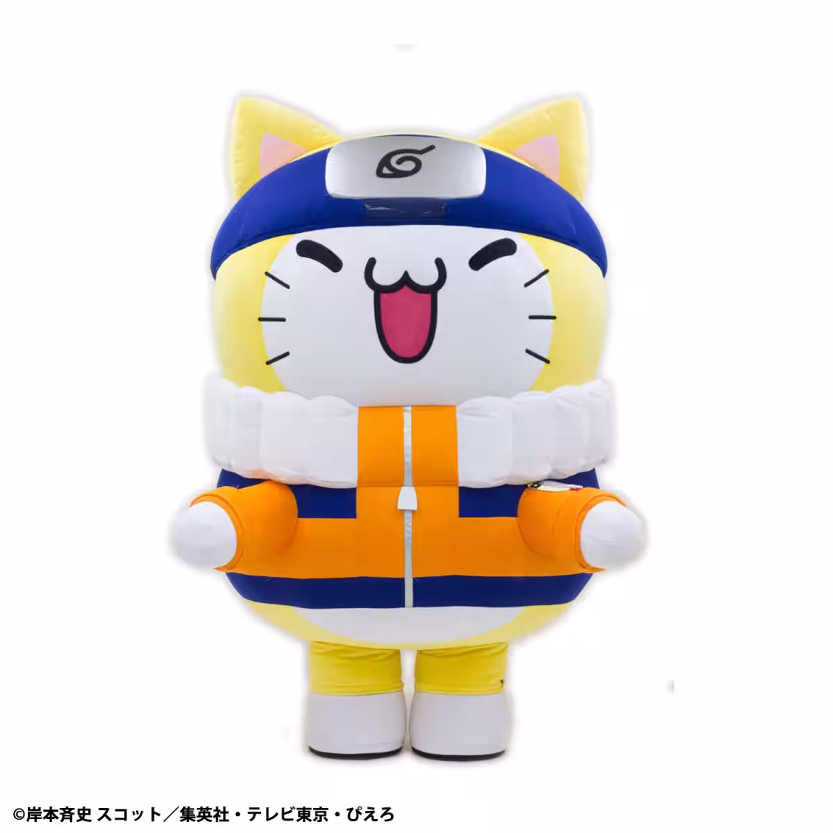 画像7