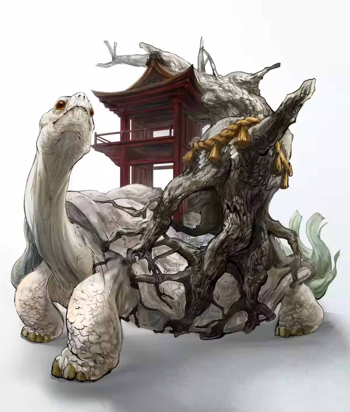 画像7