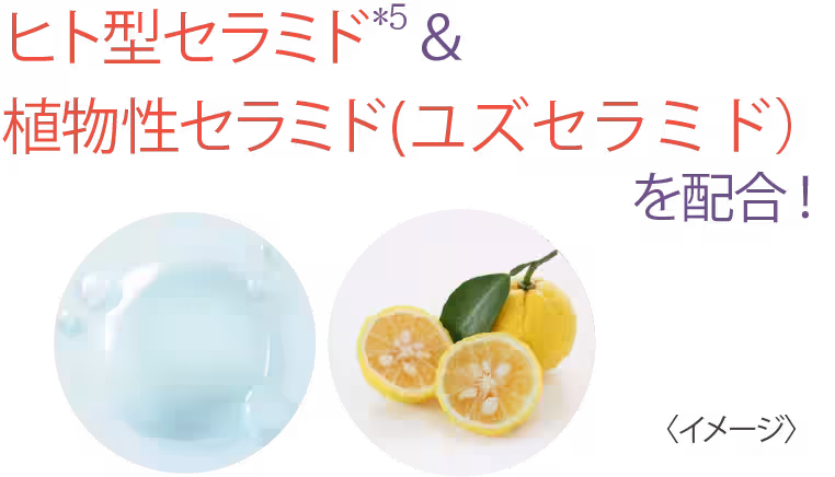 画像12